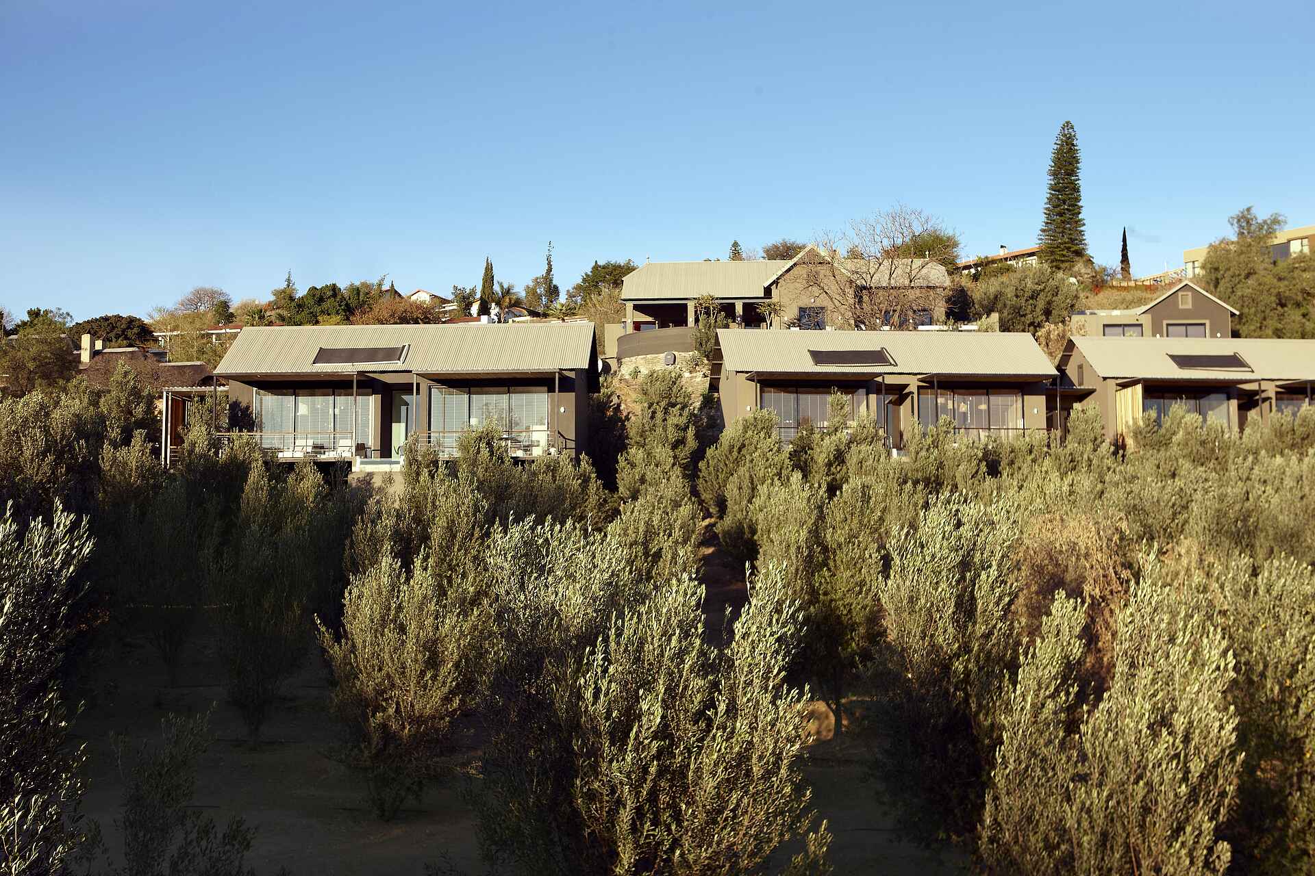 The Olive Exclusive: Außenansicht - Gästechalets The Olive Exclusive: Außenansicht - Gästechalets