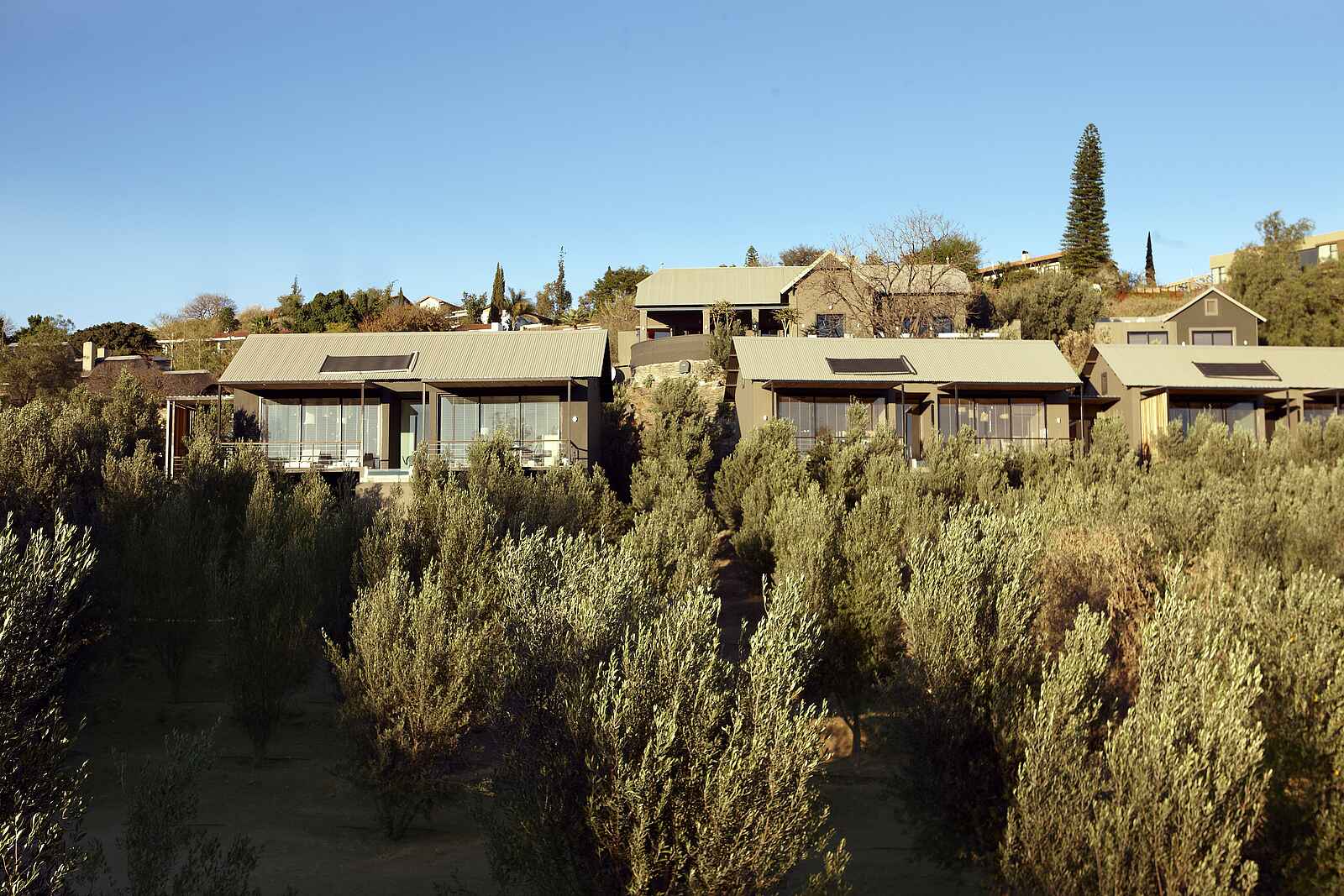 The Olive Exclusive: Außenansicht - Gästechalets The Olive Exclusive: Außenansicht - Gästechalets