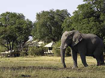 Zarafa Camp: Besuch am Camp