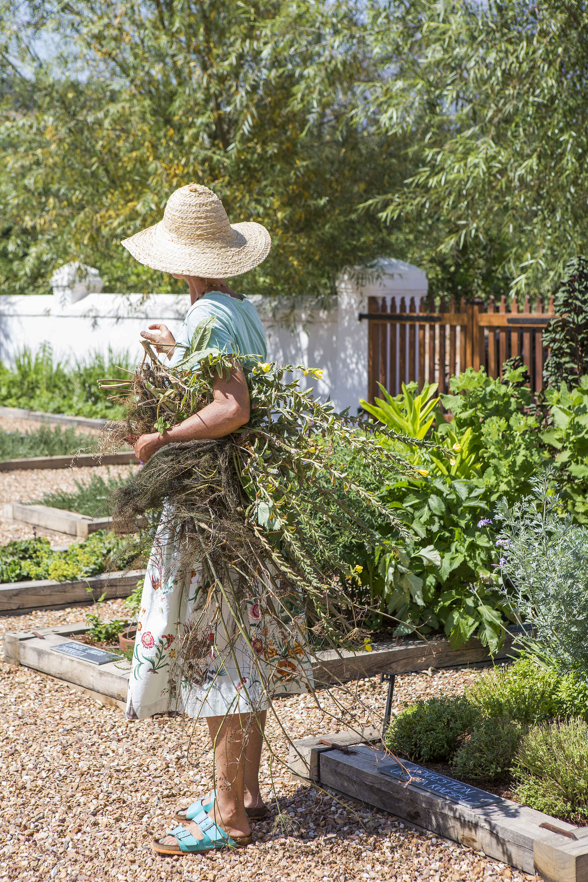 Franschhoek, Südafrika, Western Cape, Winelands, Kräutergarten, Afrikarma, Afrikarma Safaris, Afrikarma Safaris - Wildnis. Hautnah., afrikarma.de