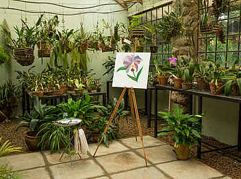 Giraffe Manor: Staffelei im Orchideenhaus Giraffe Manor: Staffelei im Orchideenhaus