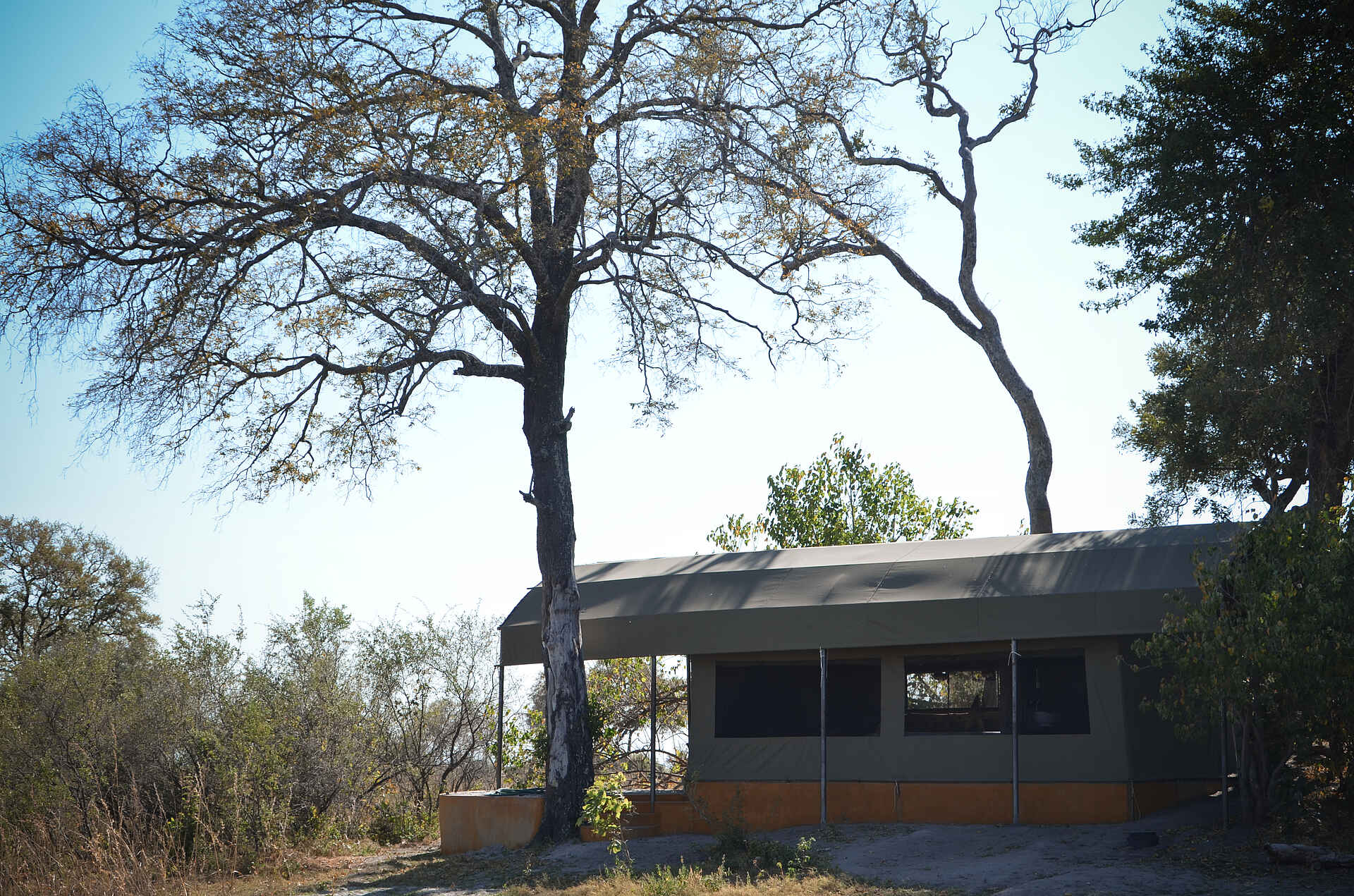 Jackalberry, Jackalberry Tented Camp, Mamili National Park, Nkasa Rupara National Park, Mparamure Island, Gästezelt, Afrikarma, Afrikarma Safaris, Afrikarma Safaris. Wildnis. Hautnah., Afrikarma.de