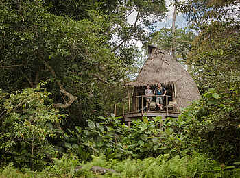 Lango Camp: Ein Baumhaus von Außen Lango Camp: Ein Baumhaus von Außen