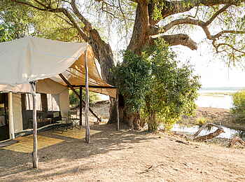 Little Vundu Camp: Zugang zu einem Gästezelt Little Vundu Camp: Zugang zu einem Gästezelt