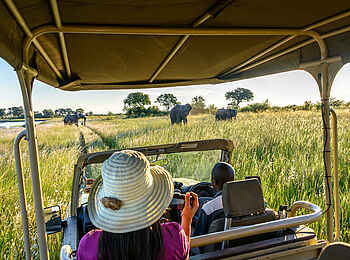 Namushasha River Lodge: Elefanten bei der Pirschfahrt Namushasha River Lodge: Elefanten bei der Pirschfahrt