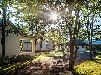 Robins Camp: Chalets unter den Bäumen Robins Camp: Chalets unter den Bäumen