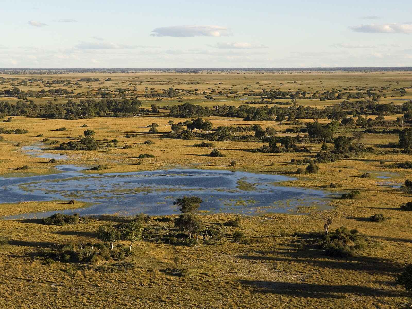 Duba Plains Camp: Schwemmebene Duba Plains Camp: Schwemmebene