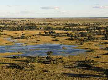 Duba Plains Camp: Schwemmebene