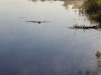 Lagoon Camp: Kwando River Lagoon Camp: Kwando River