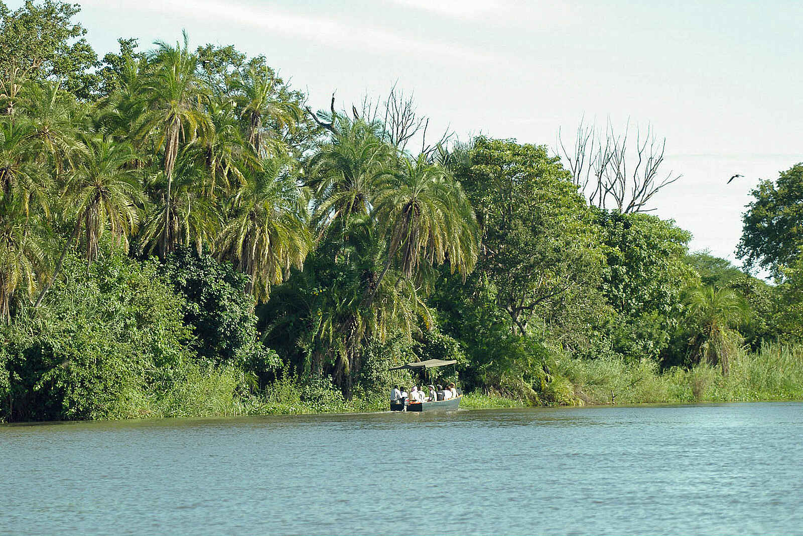 Mvuu Camp: Flussfahrt Mvuu Camp: Flussfahrt