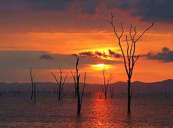 Changa Safari Camp: Sonnenuntergang am Kariba See Changa Safari Camp: Sonnenuntergang am Kariba See