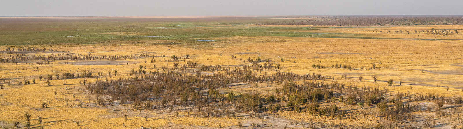 Wilderness Mokete Camp: die Mababe-Region Wilderness Mokete Camp: die Mababe-Region