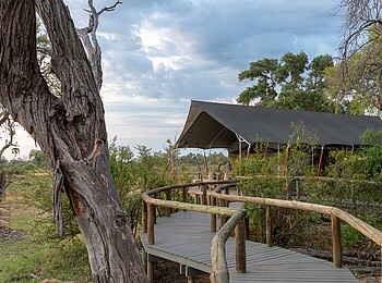 Gomoti Private Camp: Weg