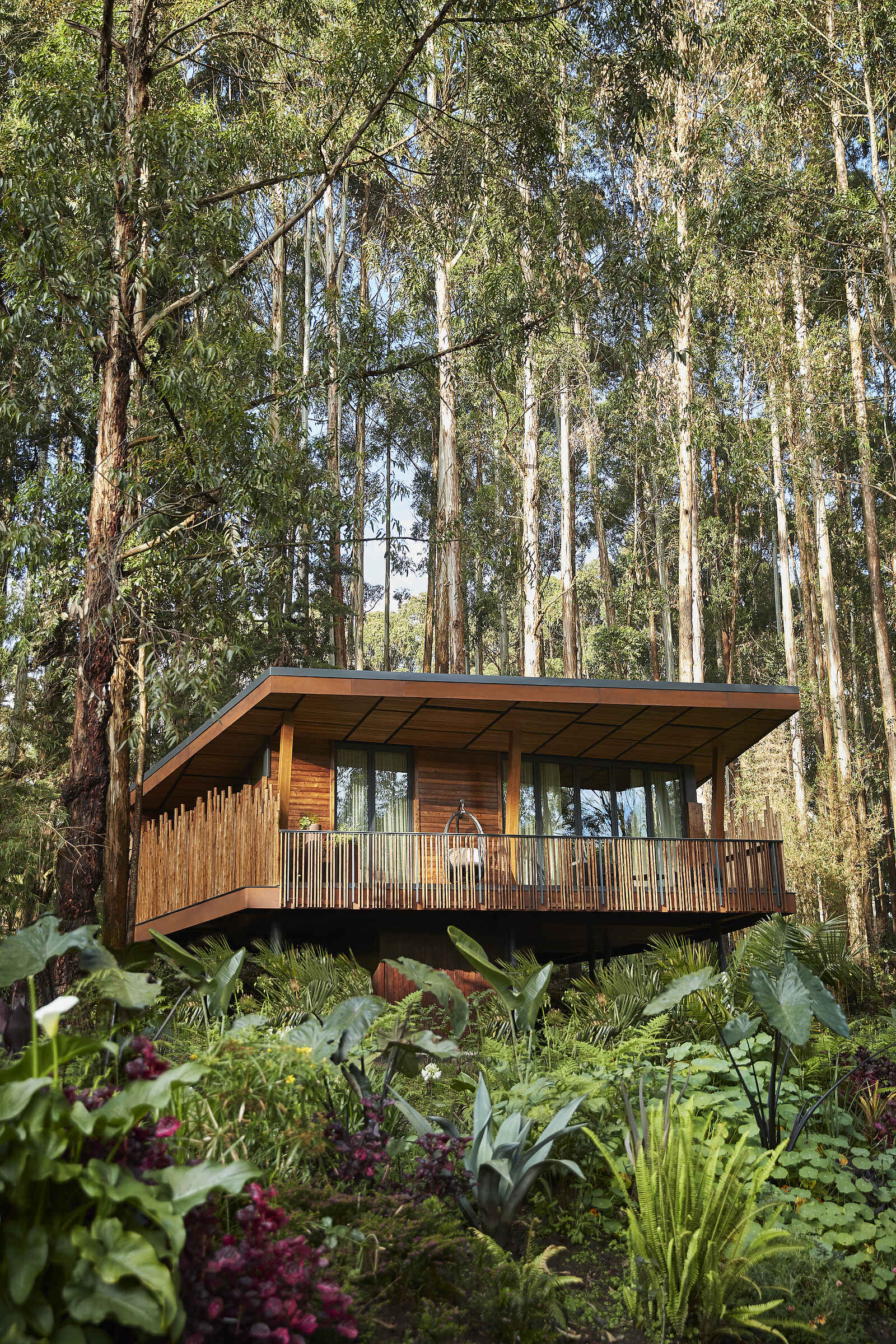 One and Only Gorilla's Nest: Ansicht einer Suite One and Only Gorilla's Nest: Ansicht einer Suite