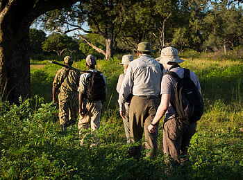 Time + Tide Mchenja: Buschwanderung