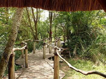 Enjojo Lodge: Holzsteg zu den Gästechalets