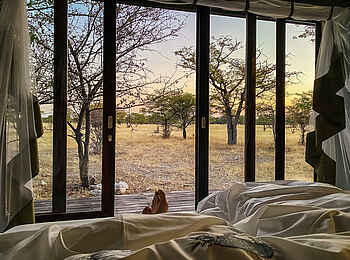 Etosha Oberland Lodge: Ausblick vom Bett Etosha Oberland Lodge: Ausblick vom Bett