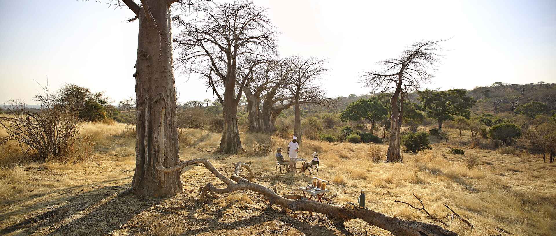 Ikuka Safari Camp: Rast während einer Safari im Busch Chloe Sheridan-Johnson, Ikuka Safari Camp, Mark Sheridan-Johnson, Ruaha National Park, Busch, Essen, Rast, Safari, Afrikarma, Afrikarma Safaris, Afrikarma Safaris – Wildnis. Hautnah., afrikarma.de