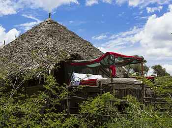 Loisaba Star Beds: Bett auf der Terrasse Loisaba Star Beds: Bett auf der Terrasse
