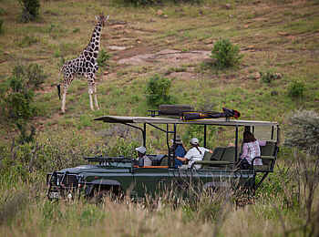 Loisaba Tented Camp: Giraffen-Begegnung Loisaba Tented Camp: Giraffen-Begegnung