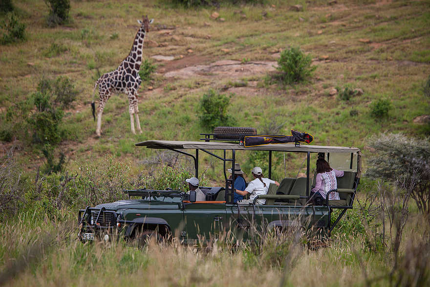 Loisaba Tented Camp: Giraffen-Begegnung Loisaba Tented Camp: Giraffen-Begegnung