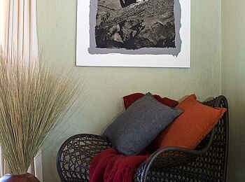 Okonjima Bush Camp: Leopard