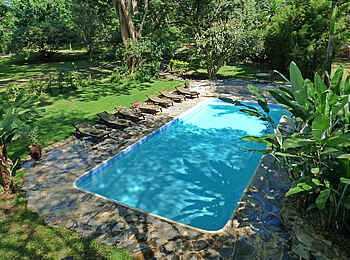 Rivertrees Country Inn: Swimming Pool