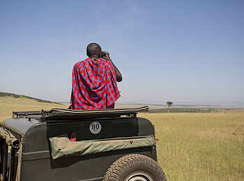 Sala's Camp: Game Spotting Sala's Camp: Game Spotting