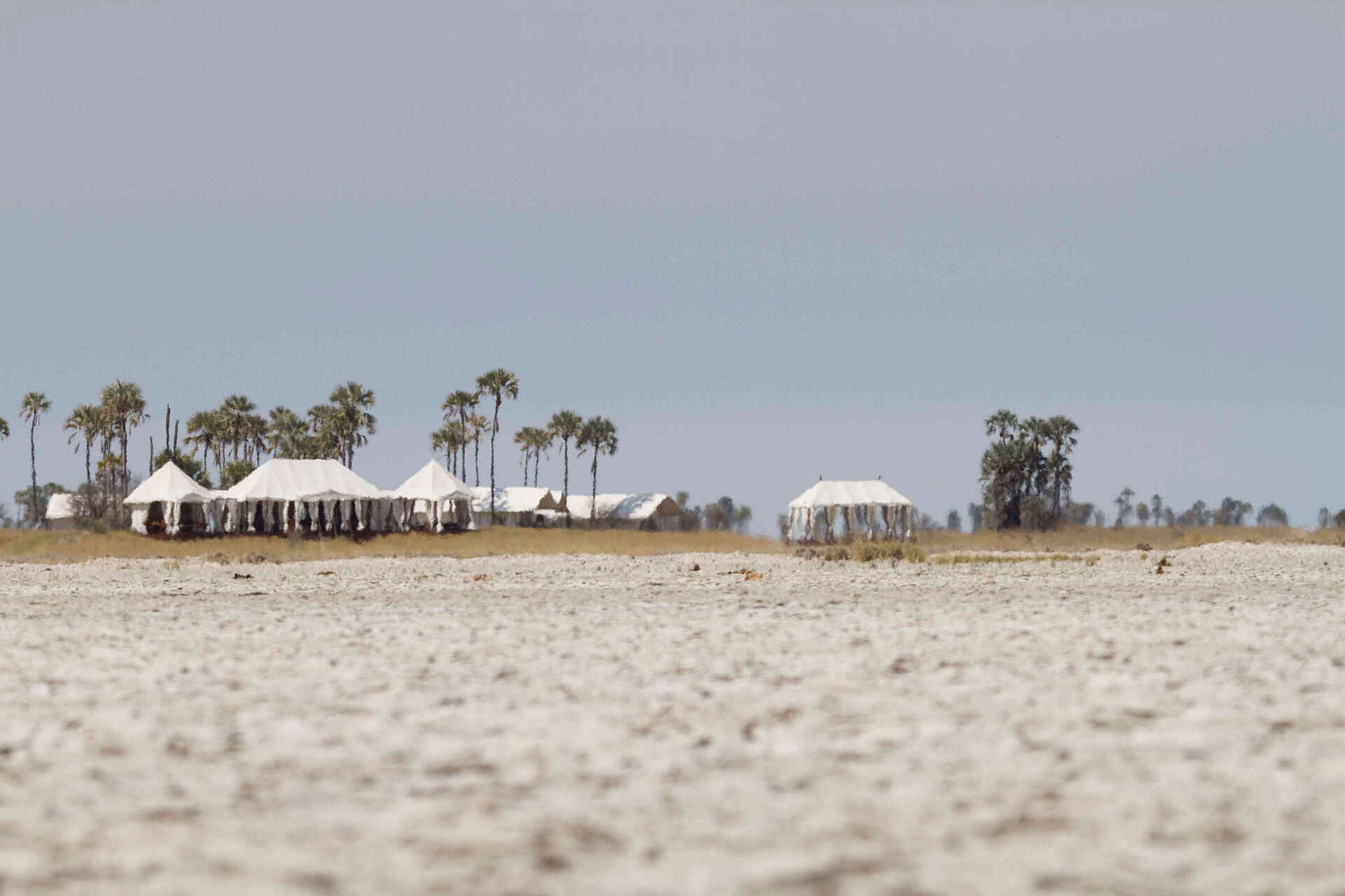 Baobab, CT11, Makgadikgadi, Ntwetwe Pan, Nxai Pans, San Camp, Hauptzelt, Uncharted Africa Safari Co., Ntwetwe-Pfanne