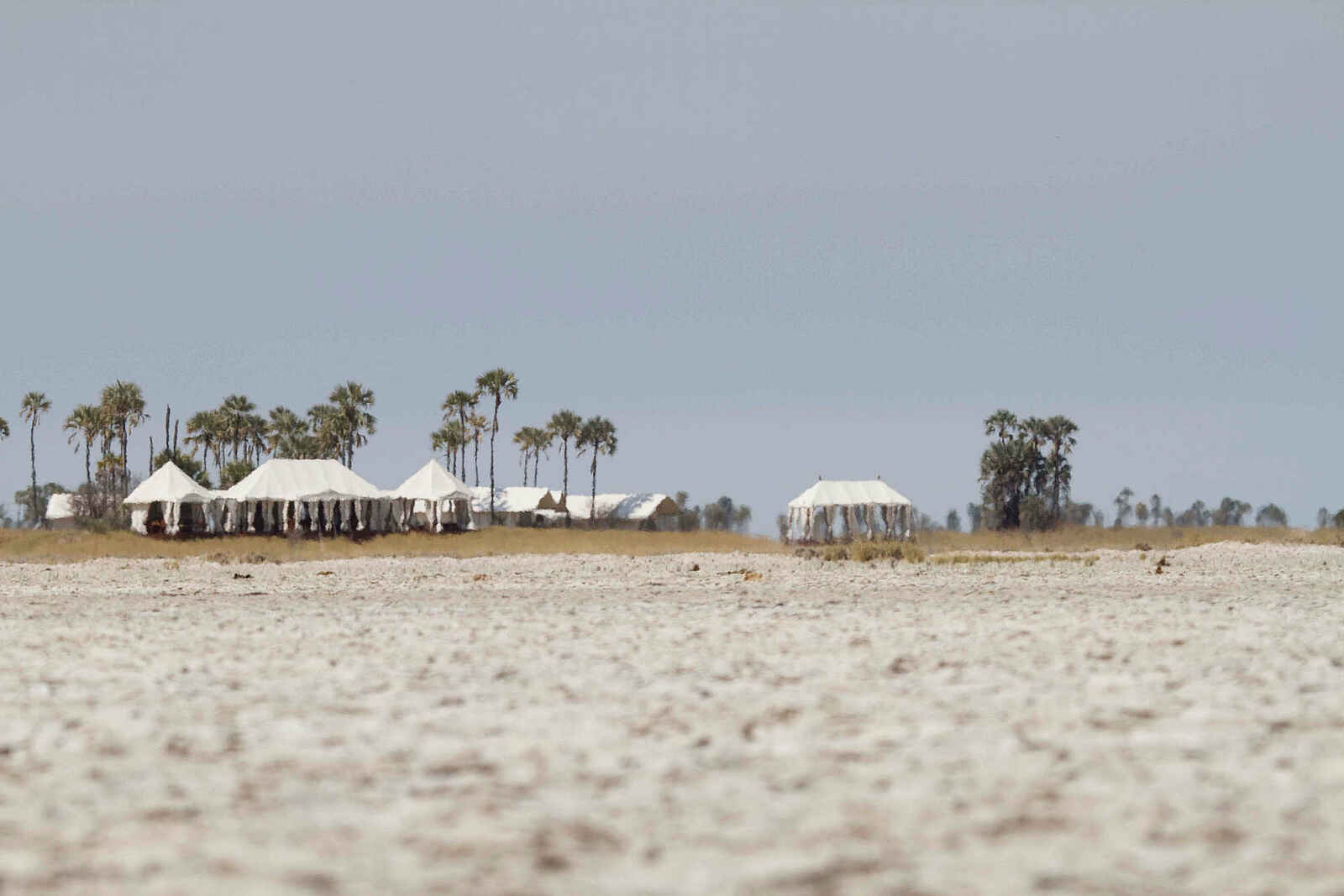 San Camp: Blick aufs Hauptzelt San Camp: Blick aufs Hauptzelt