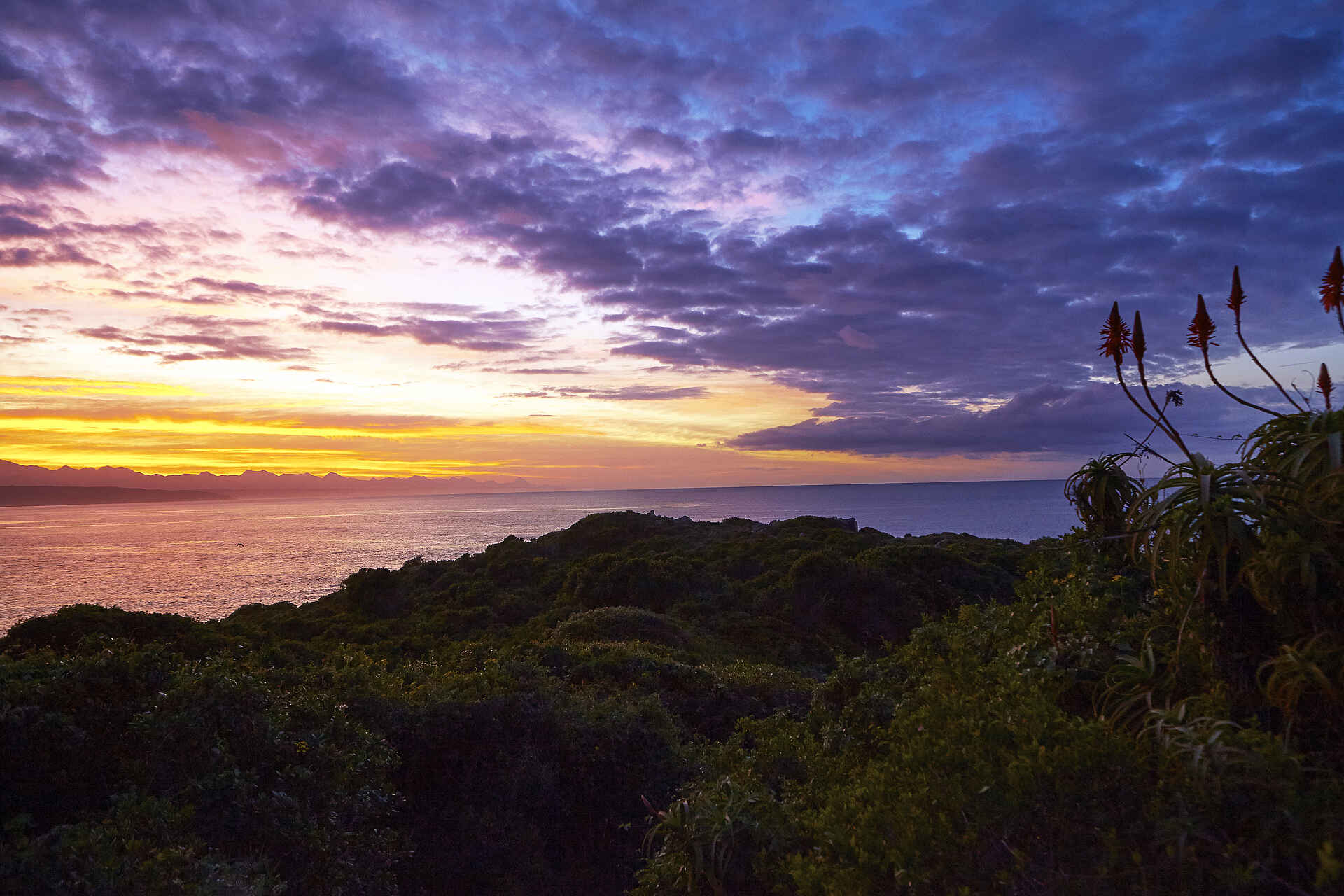 garden route, gardenroute, plettenberg bay, relais & chateaux, südafrika, the plettenberg, westkap, sonnenuntergang, afrikarma, afrikarma safaris, afrikarma safaris - wildnis. hautnah., afrikarma.de