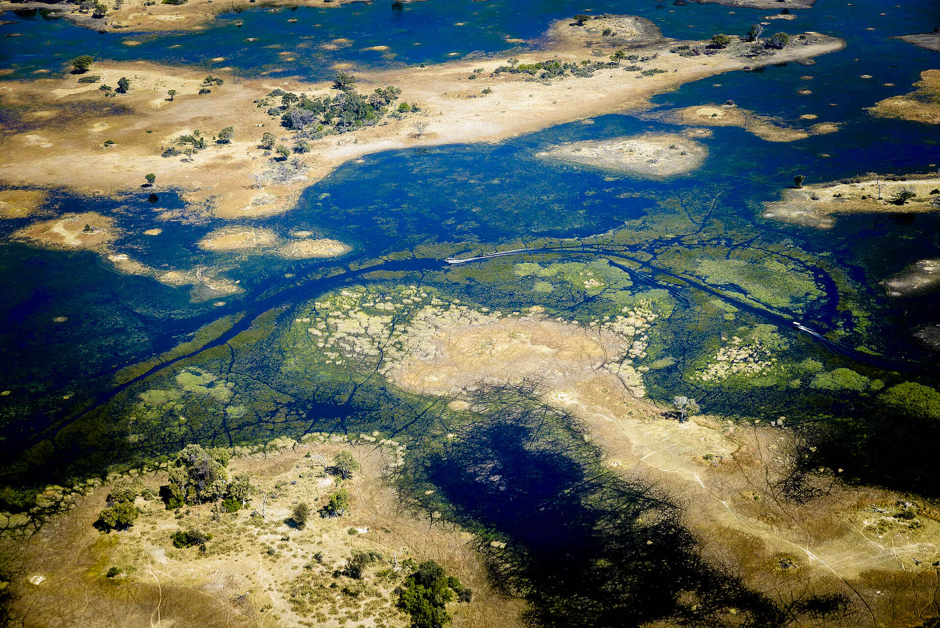 Sanctuary Retreats, Okavango Delta, Sanctuary Chief's Camp, Botswana, Africa, Afrikarma, Afrikarma Safaris, Afrikarma Safaris - Wildnis. Hautnah., Afrikarma.de, Busch