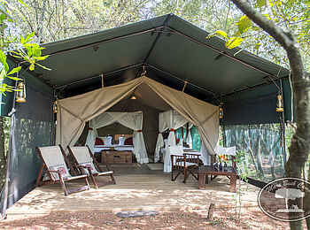 Mara Bush Camp: Gästezelt mit Vordach Mara Bush Camp: Gästezelt mit Vordach