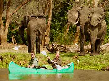 Tusk and Mane Safaris: Kanu und Elefantenbullen Tusk and Mane Safaris: Kanu und Elefantenbullen