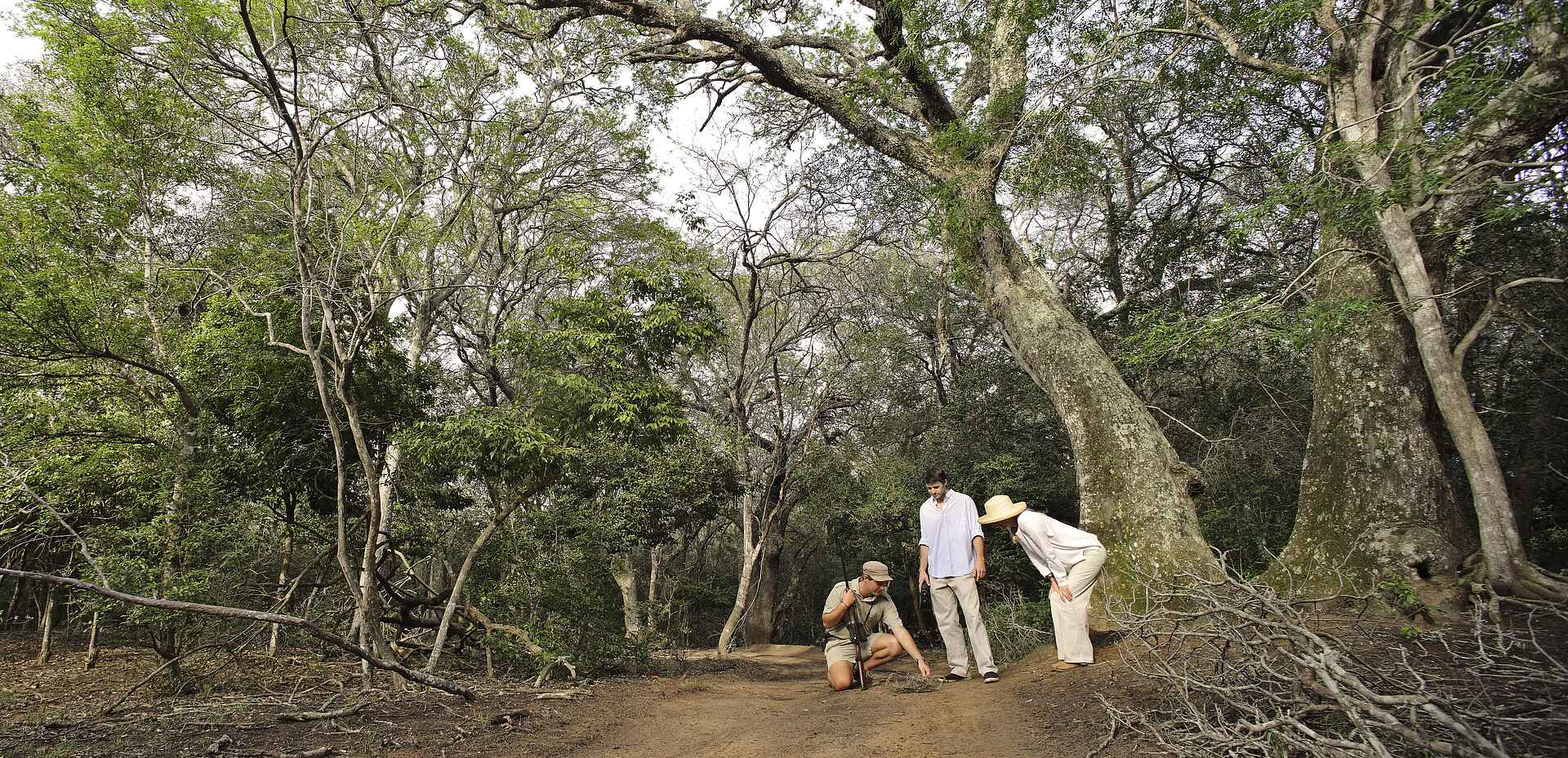&Beyond, &Beyond Phinda Forest Lodge, &Beyond Phinda Game Reserve, Forest Lodge, iSimangaliso Wetland Park, Phinda, Phinda Forest, Phinda Game Reserve, Phinda Private Game Reserve, Südafrika, Lage, Natur, Sand Forest, Umgebung, Unterkunft, Vegetation, Wald, Buschwanderung, Afrikarma, Afrikarma Safaris, Afrikarma Safaris - Wildnis. Hautnah., Afrikarma.de