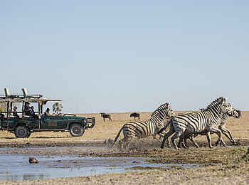 Camp Kalahari: Pirschfahrt