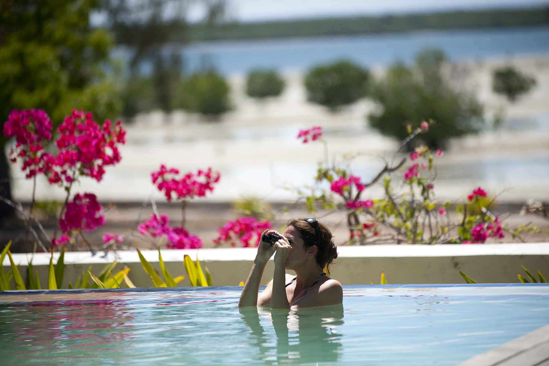 ibo island lodge, ilha do ibo, mosambik, swimmingpool, vogelbeobachtung, afrikarma, afrikarma safaris, afrikarma safaris - wildnis. hautnah., afrikarma.de