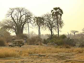 Ikuka Safari Camp: Mit dem Geländewagen durch die Weite der Landschaft