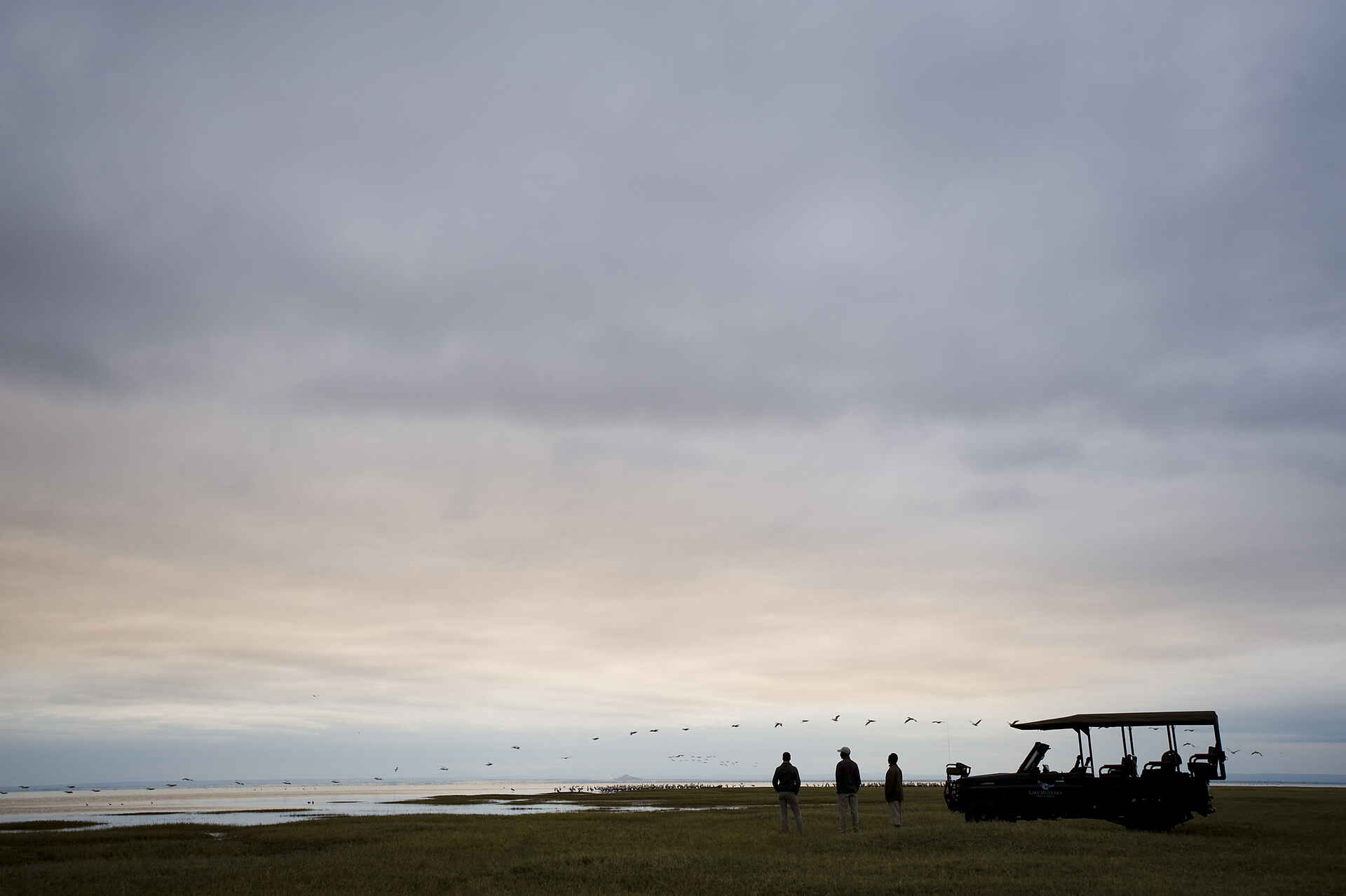 Lake Manyara Tree Lodge: Pirschfahrt