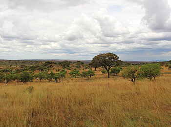 Lemala Kuria Hills: Die nördliche Serengeti