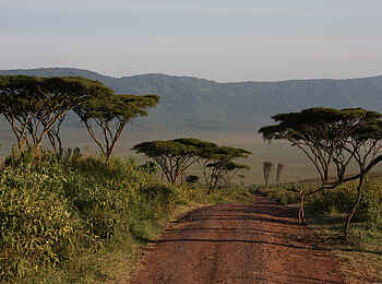 Lemala Ngorongoro: Kraterlandschaft Lemala Ngorongoro: Kraterlandschaft