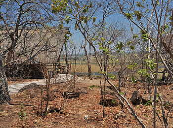 Muchenje Safari Lodge: Gästechalet
