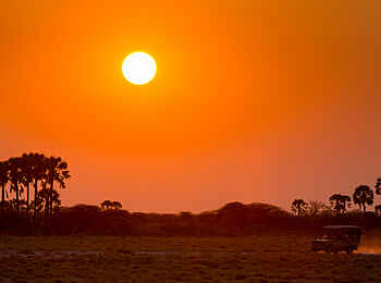 Onguma Tented Camp: Pirschfahrt zum Sonnenuntergang