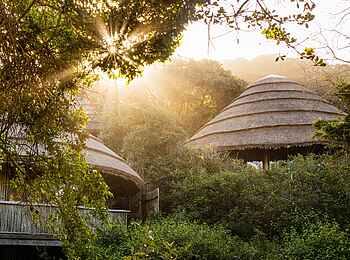 Thonga Beach Lodge: Forest Unterkünfte im Grünen Thonga Beach Lodge: Forest Unterkünfte im Grünen
