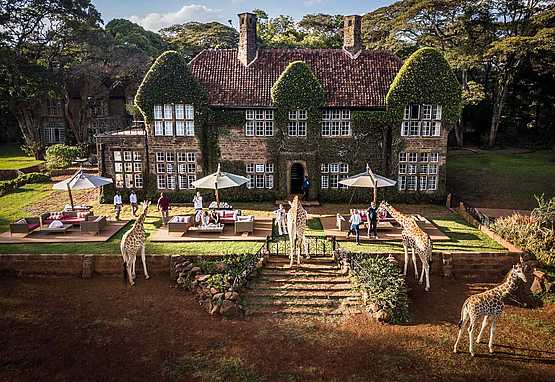 Giraffe Manor: Afternoon Tea mit Giraffen Giraffe Manor: Afternoon Tea mit Giraffen