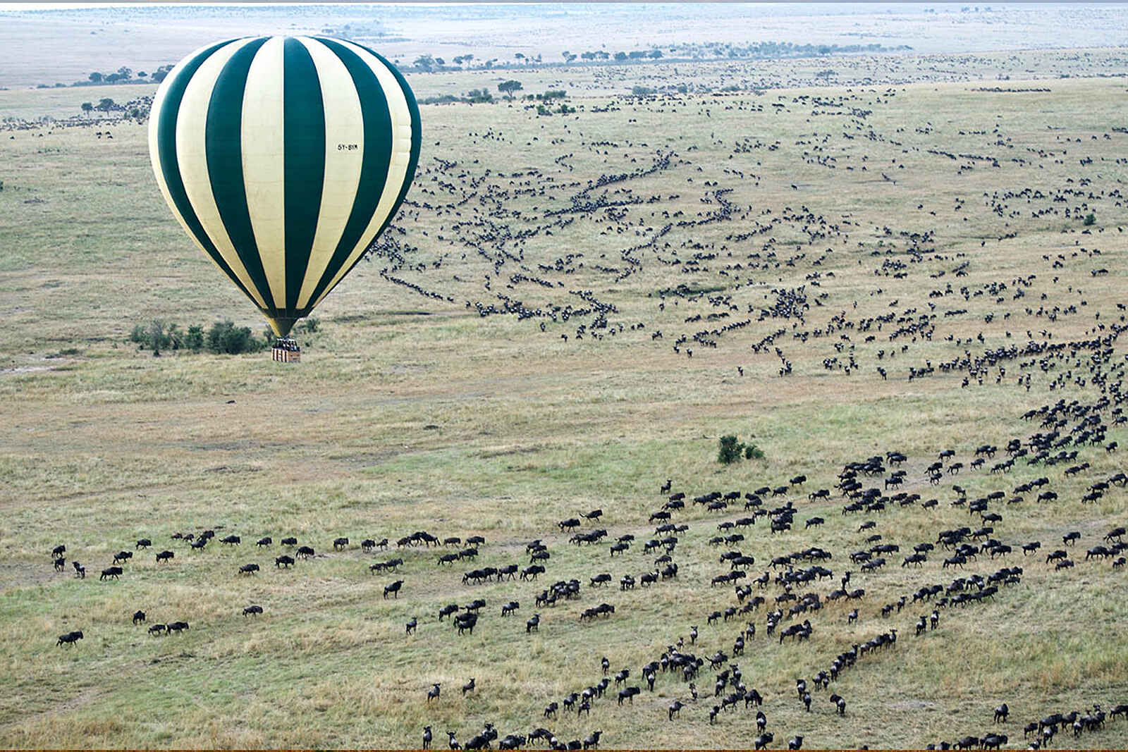 Naibor Camp: Ballonrundflug über den Gnus Naibor Camp: Ballonrundflug über den Gnus