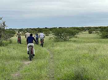 Great Tsau Hill Camp: E-Bike Tour Great Tsau Hill Camp: E-Bike Tour