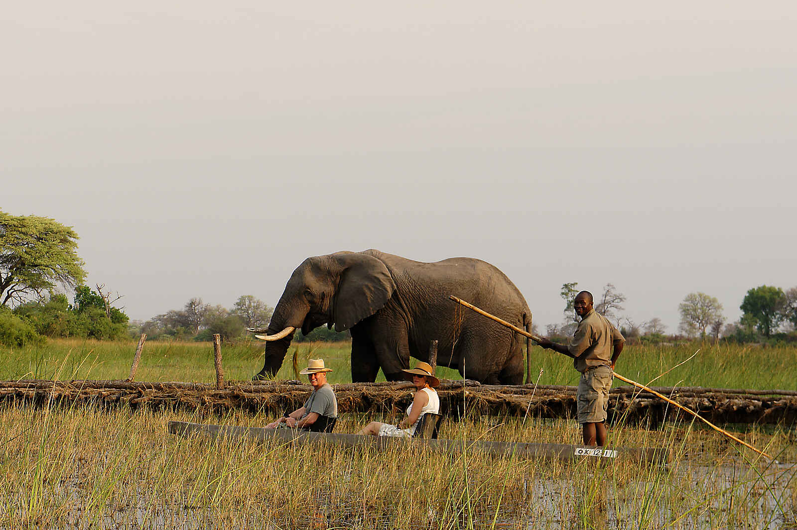 Macatoo Camp: Mokoro-Safari Macatoo Camp: Mokoro-Safari
