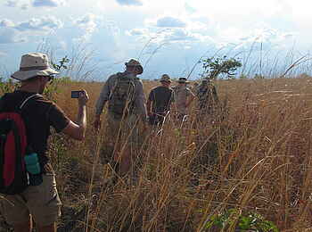 Mukambi Fig Tree Bush Camp: Eine Walking Safari durchquert hohes Gras