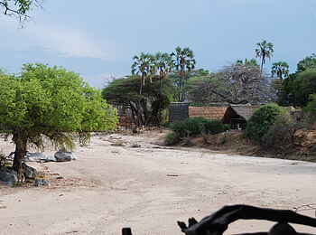 Mwagusi Safari Camp: Blick auf das Camp